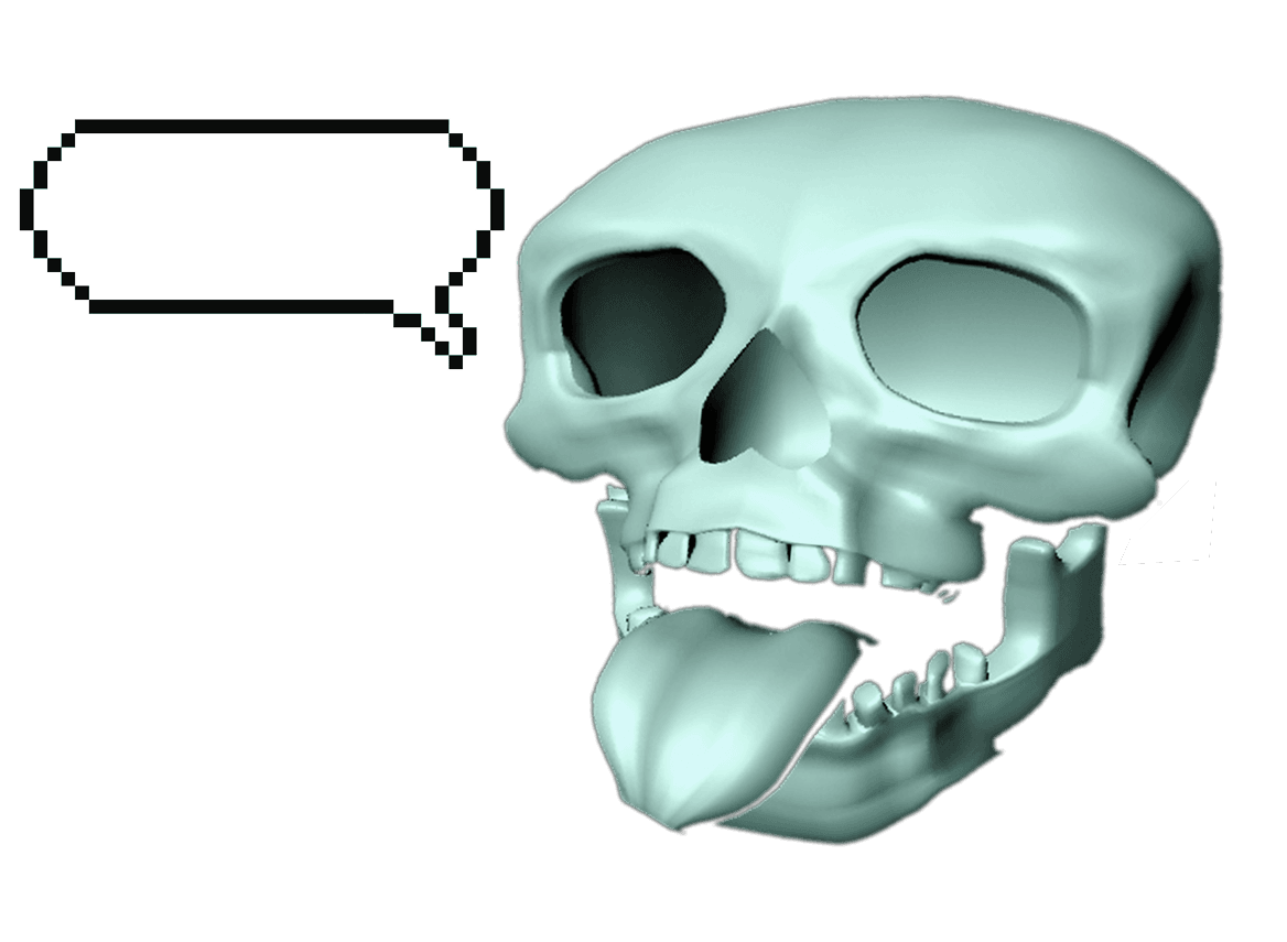 Ninja skull